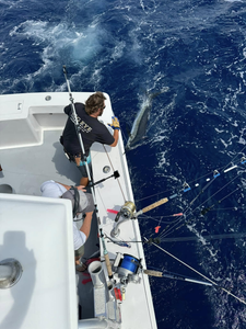 Eco-tours and fishing adventures await!
